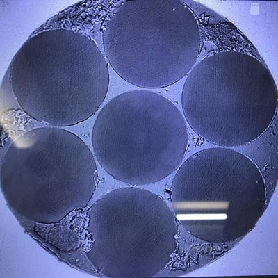 배열된 다중 코어 광 섬유 과학적 연구 제품 6 육각형